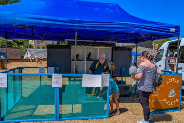 Little Owlets - Lydbrook Memorial Hall - Summer Fete 2025