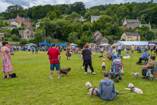 Our First Bonfire Night