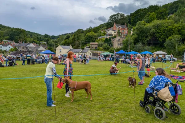 Our First Bonfire Night